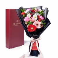 Read Toronto Blooms Reviews